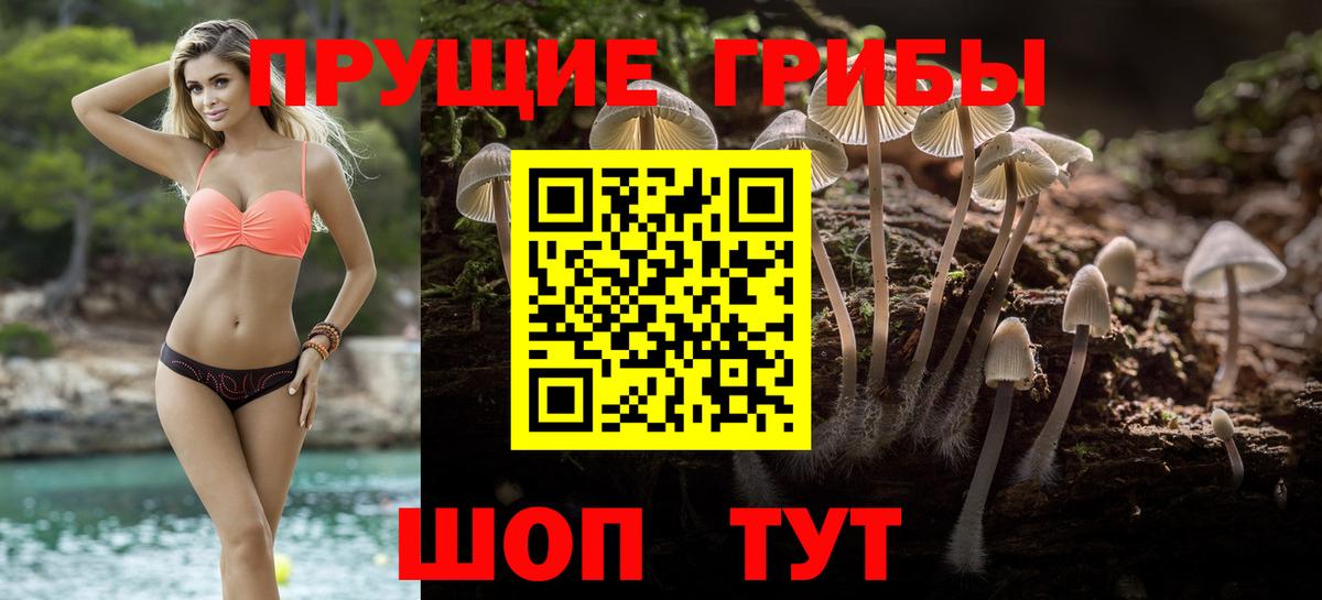 Псилоцибиновые грибы Psilocybine cubensis Заинск