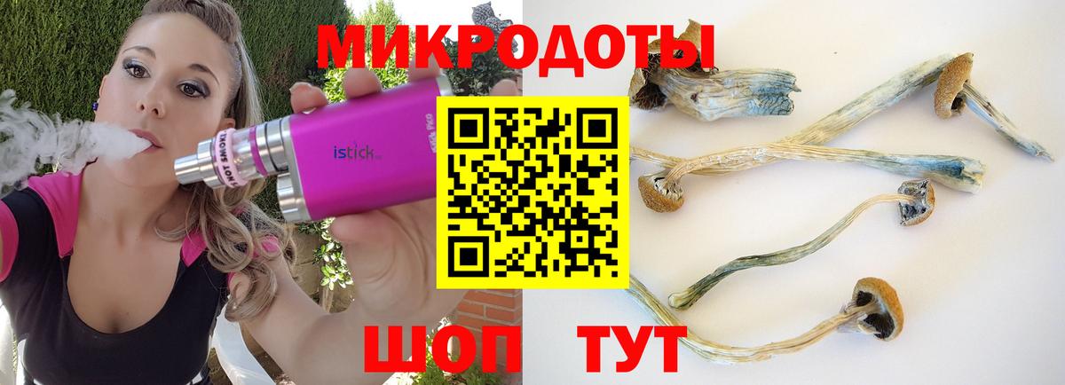 Галлюциногенные грибы Magic Shrooms  Вход с VPN  Заинск 